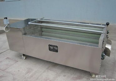 【青核桃脫皮清洗機價位銳勝機械廠青核桃脫皮清洗機哪個品牌好】-